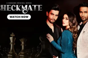 Checkmate (2024) Hindi Season 1