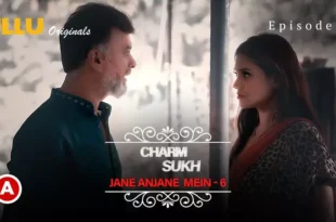 Jane Anjane Mein 6 Episode 5